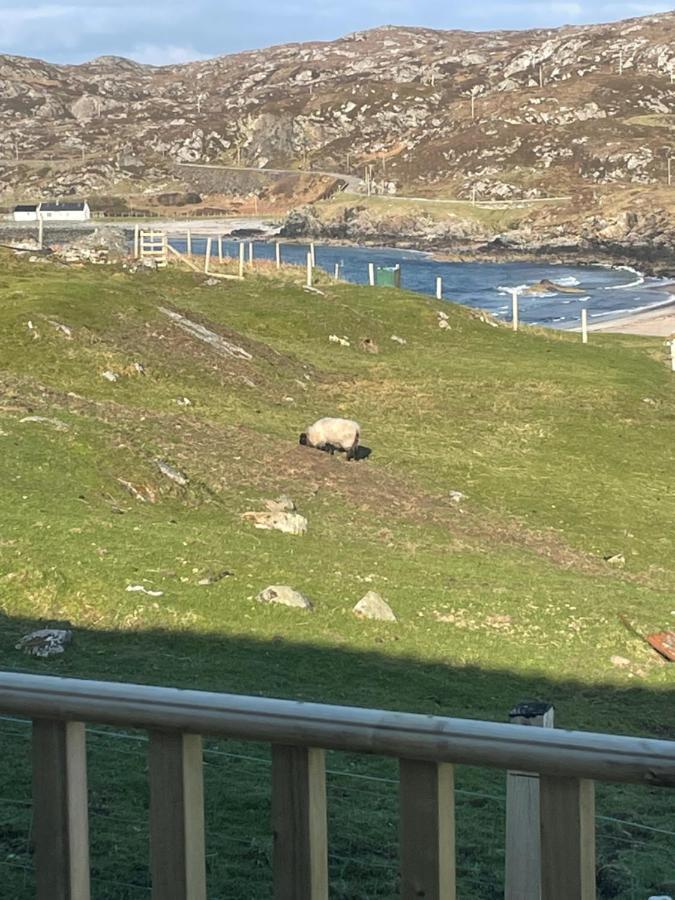 Sea View Cabin Clashnessie Eksteriør billede