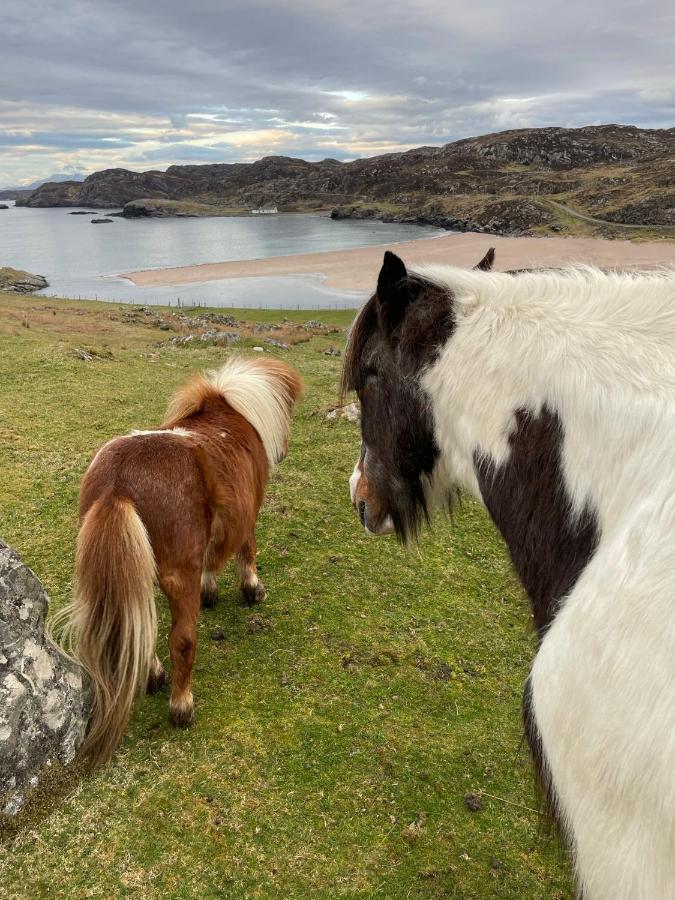Sea View Cabin Clashnessie Eksteriør billede
